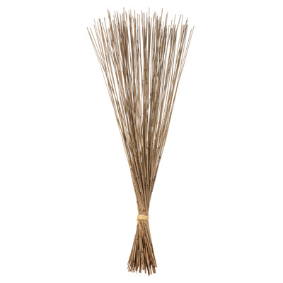 Faux Marsh Reed Plant Preserved