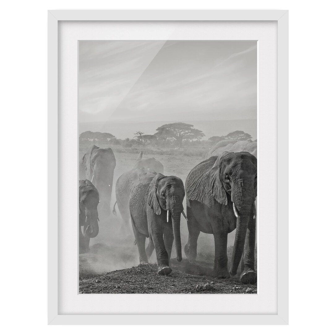 Gerahmter Fotodruck Herd of Elephants