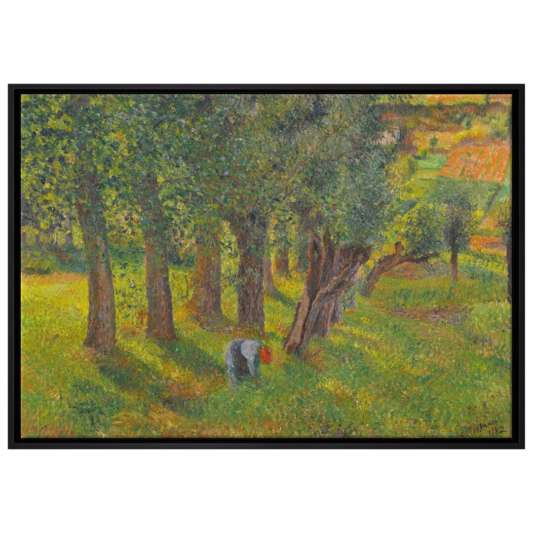 Gerahmtes Leinwandbild Le Chou À Pontoise von Camille Pissarro