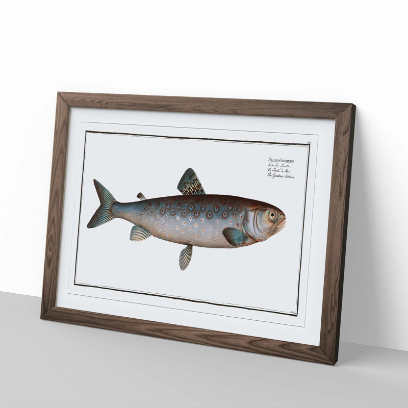 Goeden's Salmon Fish by M.E. Bloch - Picture Frame Painting Print, 27cm H x 36cm W x 2cm D, Walnut Framed