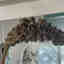 Customer photo 3 of 4