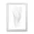 White Framed