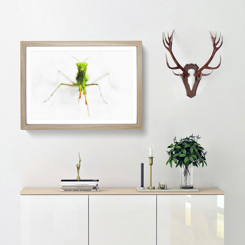 Praying Mantis - Picture Frame Painting Print, Oak Framed, 24cm H x 33cm W x 2cm D