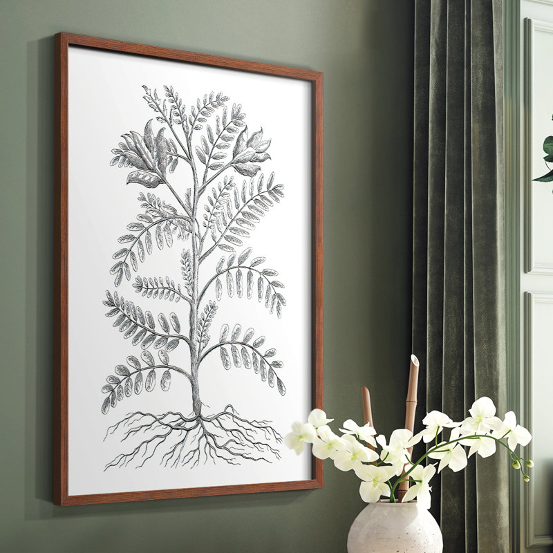 «B&W Plant Speciment», reproduction encadrée - bois massif, Brun, H 20 po x l 16 po
