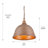 Skye 2-Light Shaded Pendant -2126349000