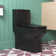 DeerValley Liberty Compact Toilets One-Piece Toilet With High-Efficiency Flush Round Toilet for Space-Saving Floor Mounted (Seat Included)