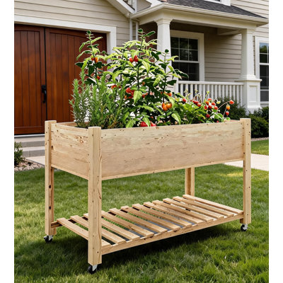 Lit de jardin surélevé sur roulettes, boîte à fleurs surélevée en bois de L 48 po x l 24 po x H 30 po avec pieds et tablette de rangement, jardinière mobile pour légumes, fleurs, patio extérieur, jardinage dans la cour arrière