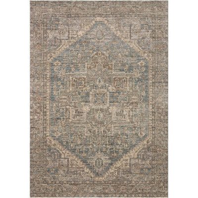 Jacobo Blue / Bark Area Rug