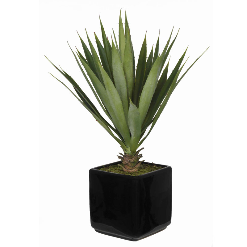 18'' Faux Yucca Succulent in Ceramic Pot
