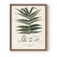 Botanical Society, impression encadrée de fougères - bois massif-1445894609-1445894613