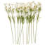 Tige de fleur artificielle Cole et Grey