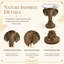 Table d'appoint 19,69 "Elephant Brown