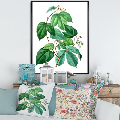 " Leaves Plants III "