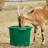 2048oz. Water Bucket-126047443