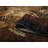 Calica Indoor Rug-1063813503
