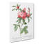 Cabbage Roses In Pink by Pierre-Joseph Redoute - Wrapped Canvas-55371729