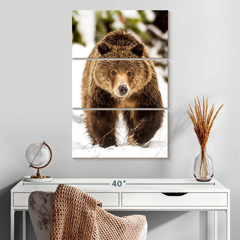 Ours grizzly en marche, H 32 po x l 20 po