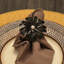 Rond de serviette fleur-227765339-227765340