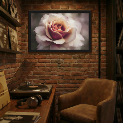 Plants & Flowers Soft Rose Petal Close Up Nature Art