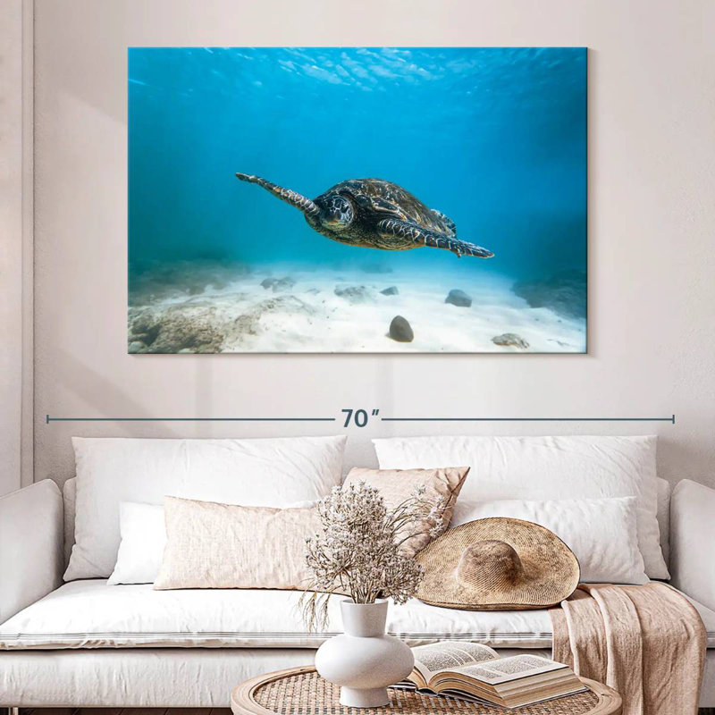 Tortue bleue Brampt, H 34 po x l 51 po