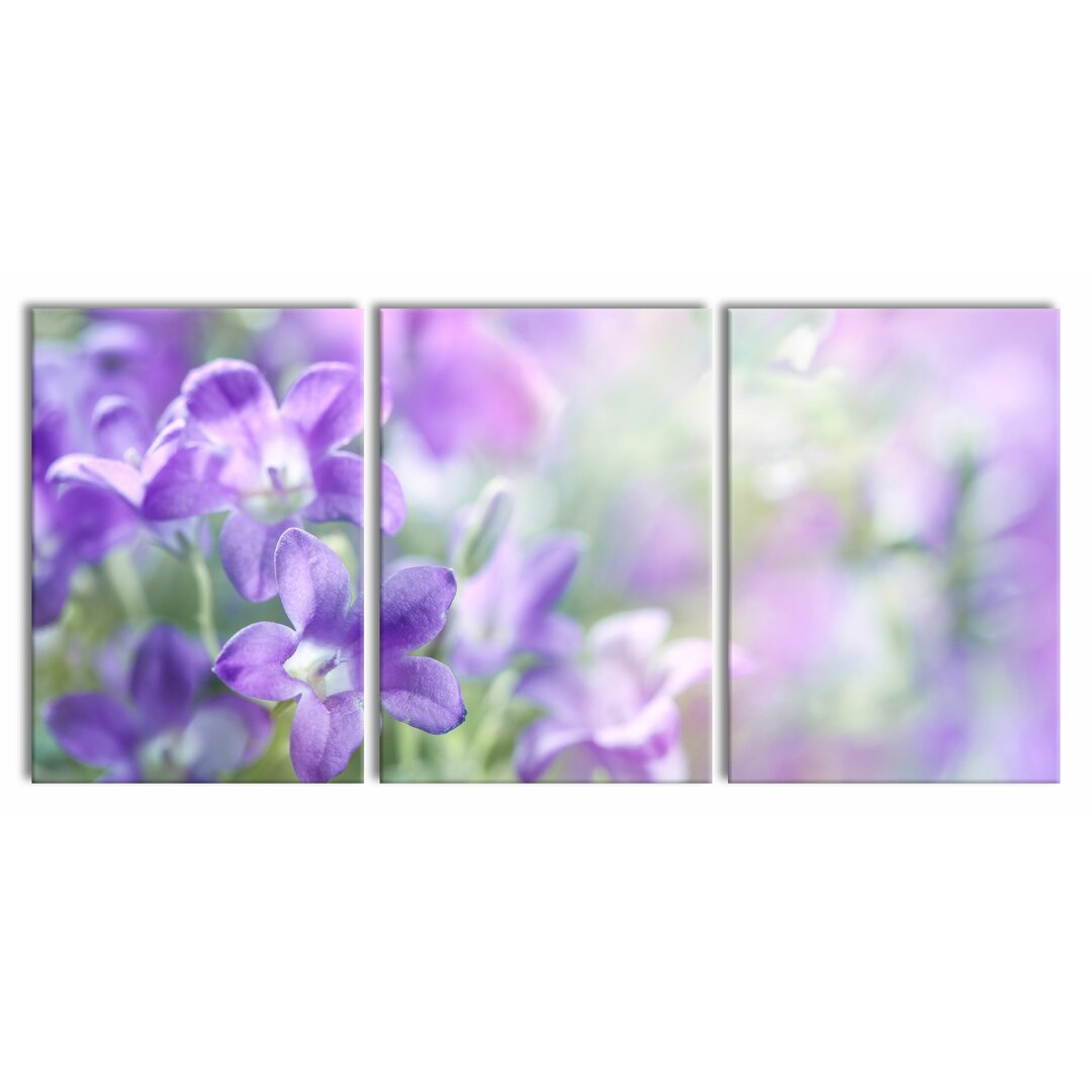 3-tlg. Leinwandbilder-Set Purple Lavender Flowers