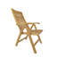 Carina Outdoor Teak Lounge Chair