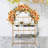 Iron Backdrops & Signs