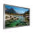 Gray Single Picture Framed selected