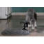Tapis pour chat et chien Pet Parents® Forager®-87986296-92473846
