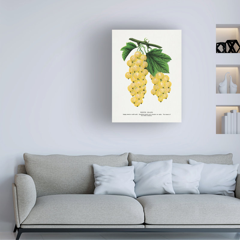 Art sur toile, raisin botanique sur toile, H 19 po x l 14 po