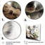 Adorable Koala en Australie IV - Koala, art mural animal-538314100-538314083