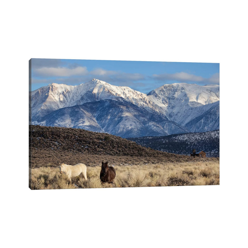 Usa, California. White Mountains And Wild Mustangs In Adobe Valley. 1 Piece Wrapped Canvas Painting, 30.48cm H x 45.72cm W