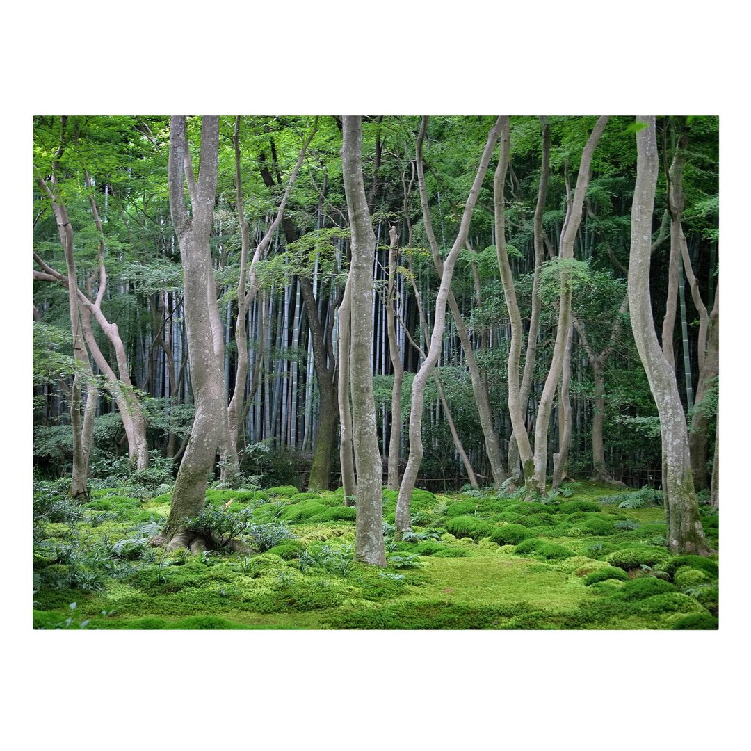 Leinwandbild Japanischer Wald