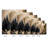 Forest Illusion-1377112358