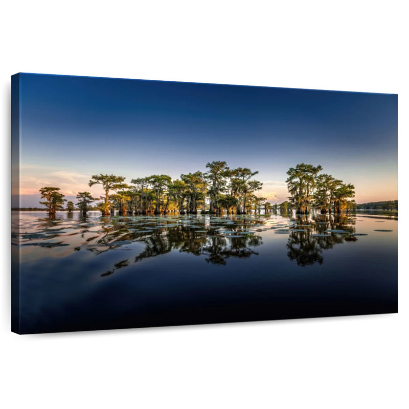 Parc d'État Alvord Caddo Lake, H 8 po x l 12 po