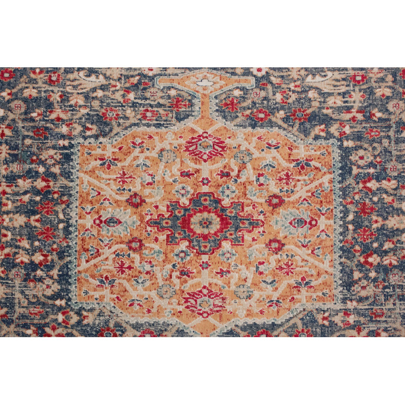 Shantae Oriental Indoor Rug, Rectangle 5'3" x 7'6"