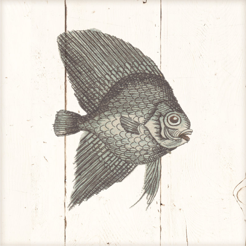 Fish Sketches III Shiplap by Wild Apple Portfolio - Wrapped Canvas Print, 91cm H x 91cm W x 3.8cm D
