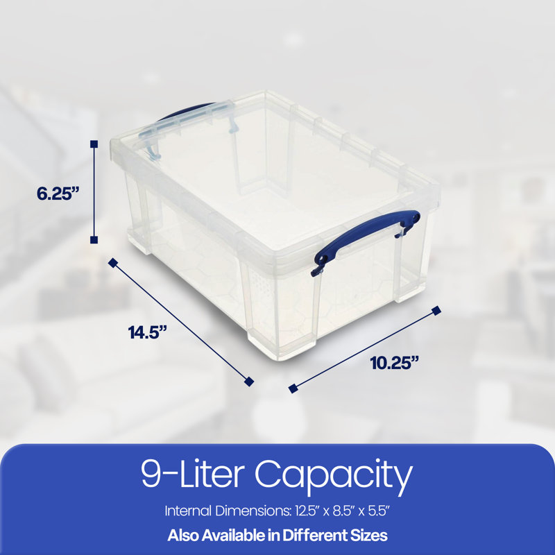 Ivy Bronx 9 Liters Transparent Storage Container with Snap Lid, 4 Pack