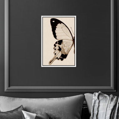 Animaux, papillon sépia I, insectes - Impression sur toile