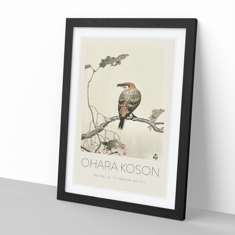 Crossbill On A Tree Branch by Ohara Koson - Single Picture Frame Print, Black Framed, 36cm H x 27cm W x 2cm D