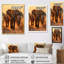 Glorious Elephant in the Wild at Sunset Wildlife - reproduction-1243232053-1243232054