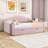 Upholstery Daybed Frame with 2 Drawers-106711429