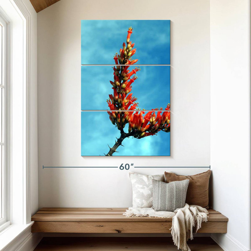 Harnek Ocotillo en fleurs, H 50 po x l 32 po