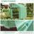 Outsunny Walk-In Greenhouse For Flowers, Vegetables-120842650-120842653