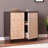 Accent Cabinet