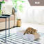 Grattoir pour chat, lit en carton, forme d'os-415322757