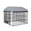Grand chenil pour chien