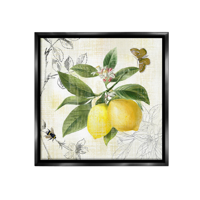 "Vintage Lemon Motif" par Nan sur toile, Cadre flottant noir de jais, H 25 po x l 25 po