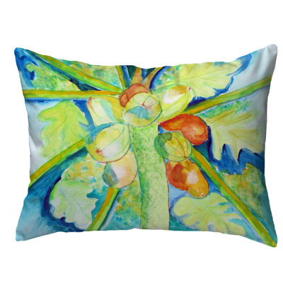  Big Cocoa Nuts Extra Zippered Outdoor Pillow Cover & Insert