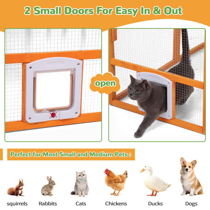 Tucker Murphy Pet™ Outdoor Catio for Large Spaces Multi-Level